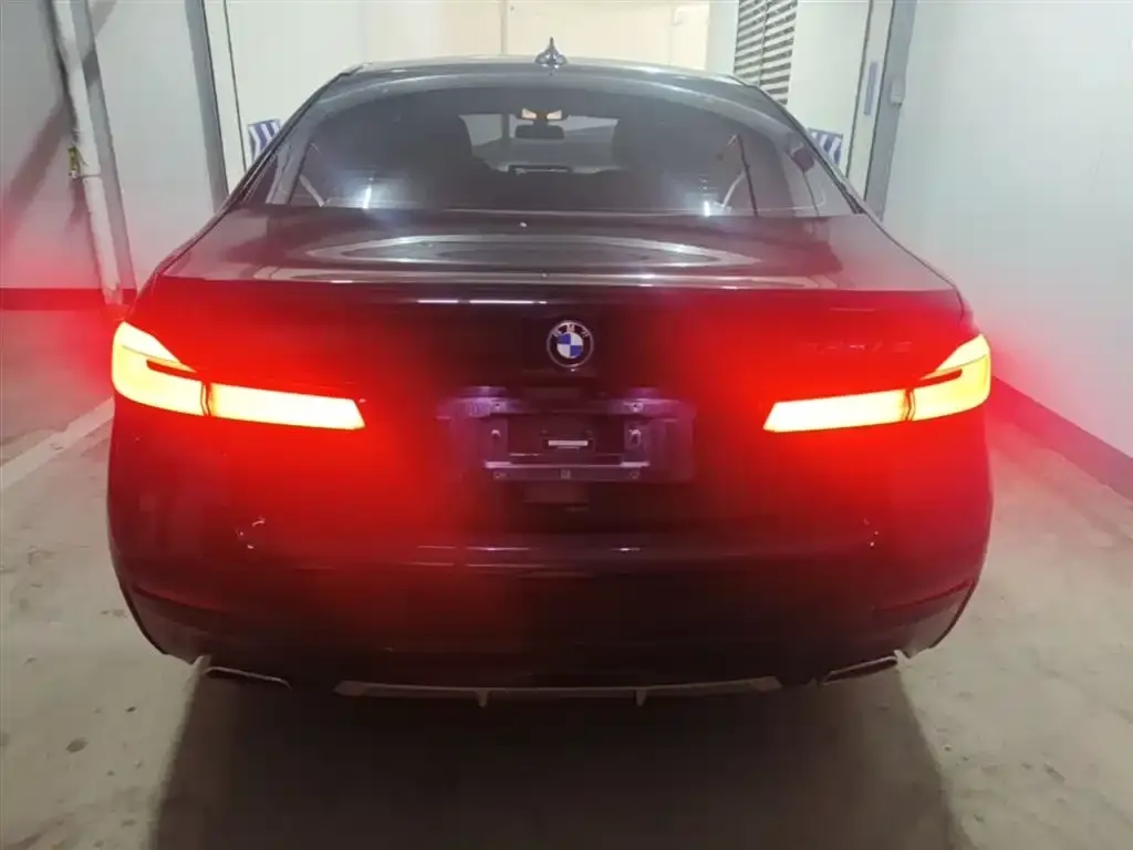 BMW 5 Series New Energy 2021 из CN, фото 6