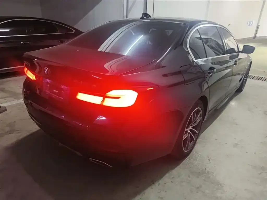 BMW 5 Series New Energy 2021 из CN, фото 5