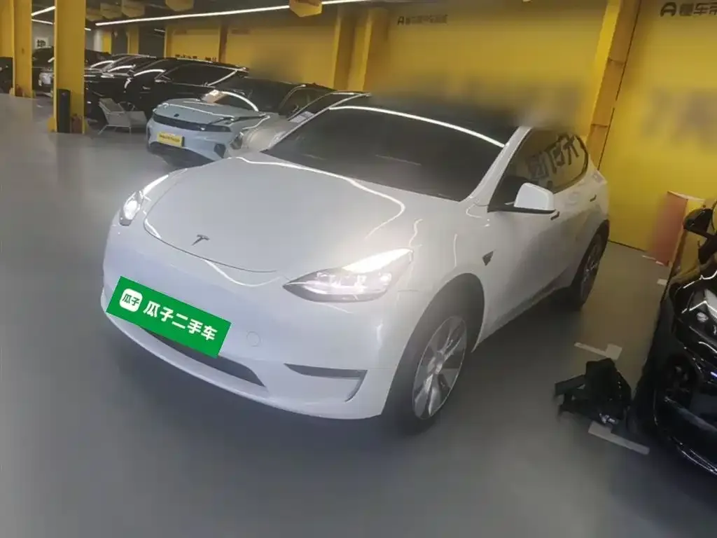 Tesla Model Y — фото 7