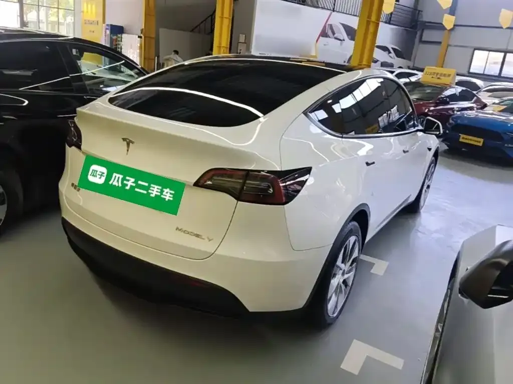 Tesla Model Y — фото 3