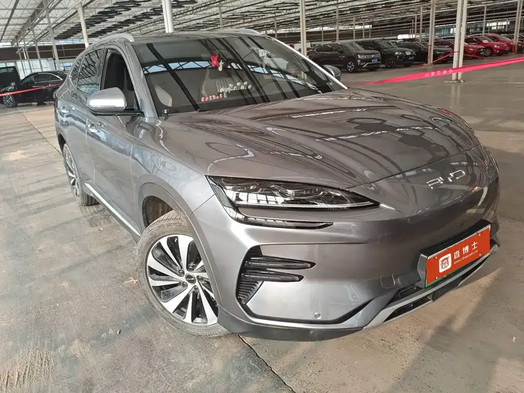BYD PLUS New Energy — фото 4