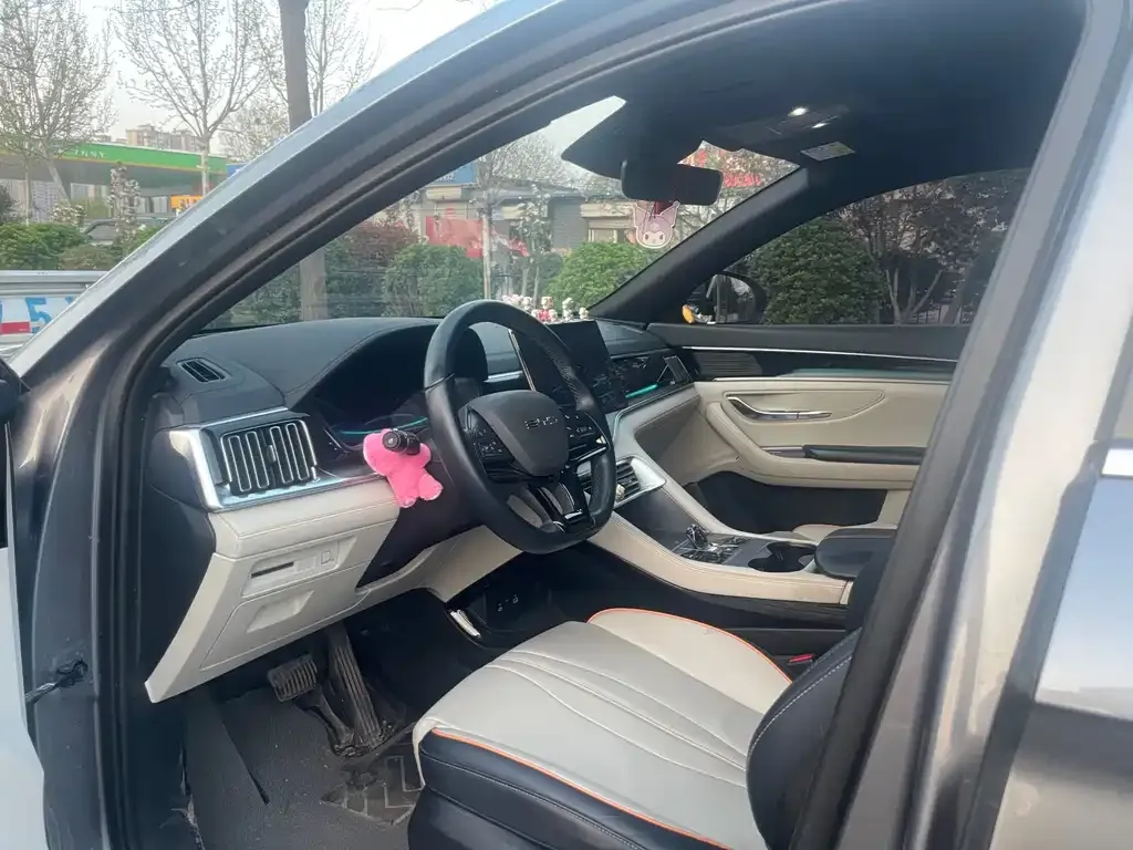 BYD PLUS New Energy — фото 2