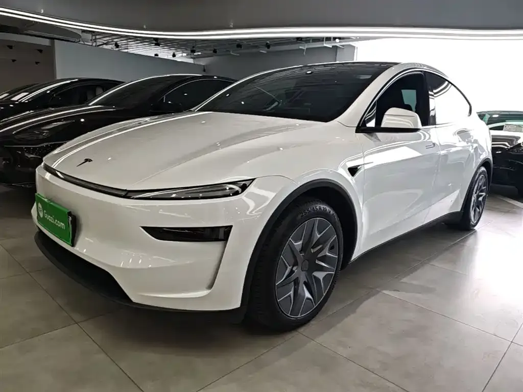 Tesla Model Y L — фото 1