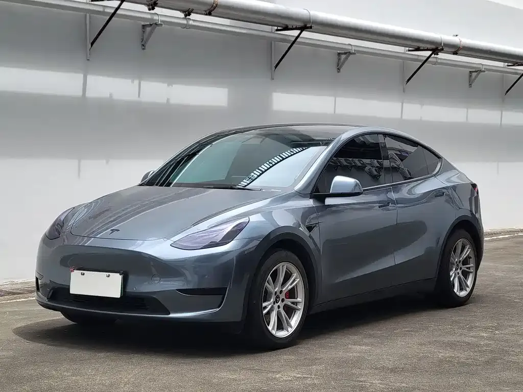 Tesla Model Y — фото 1