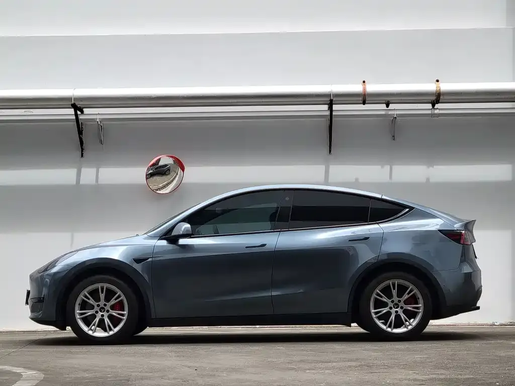 Tesla Model Y — фото 2