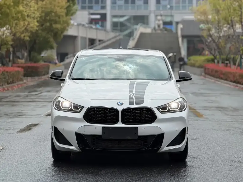 BMW X2 2022 из CN, фото 10