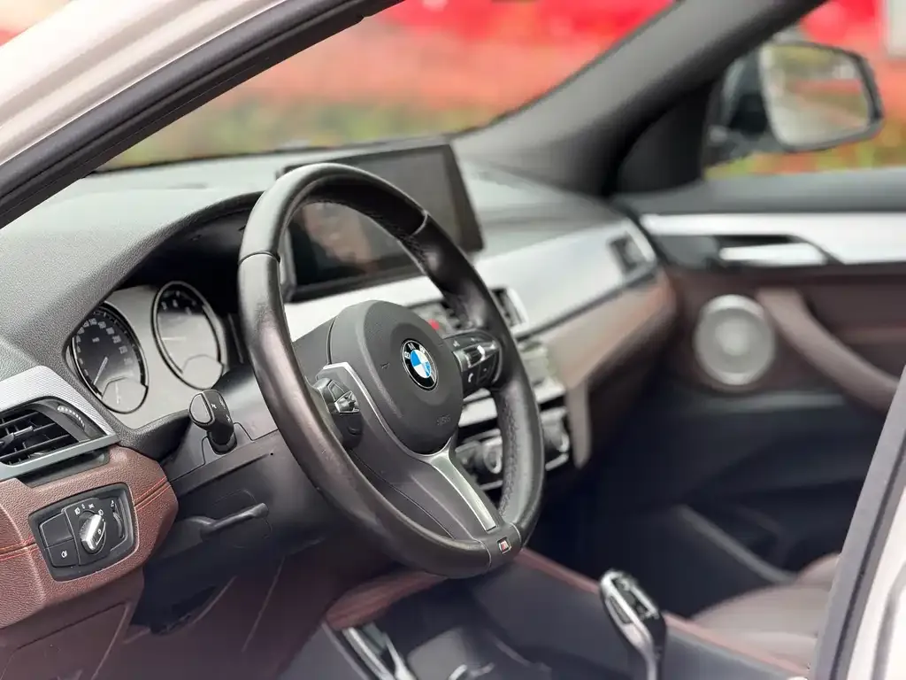 BMW X2 2022 из CN, фото 4