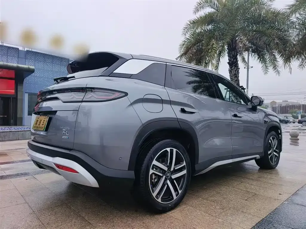 BYD L DM-i — фото 10