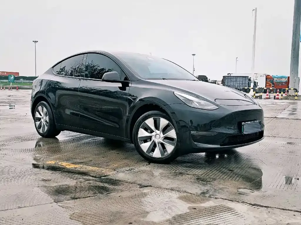 Tesla Model Y — фото 8