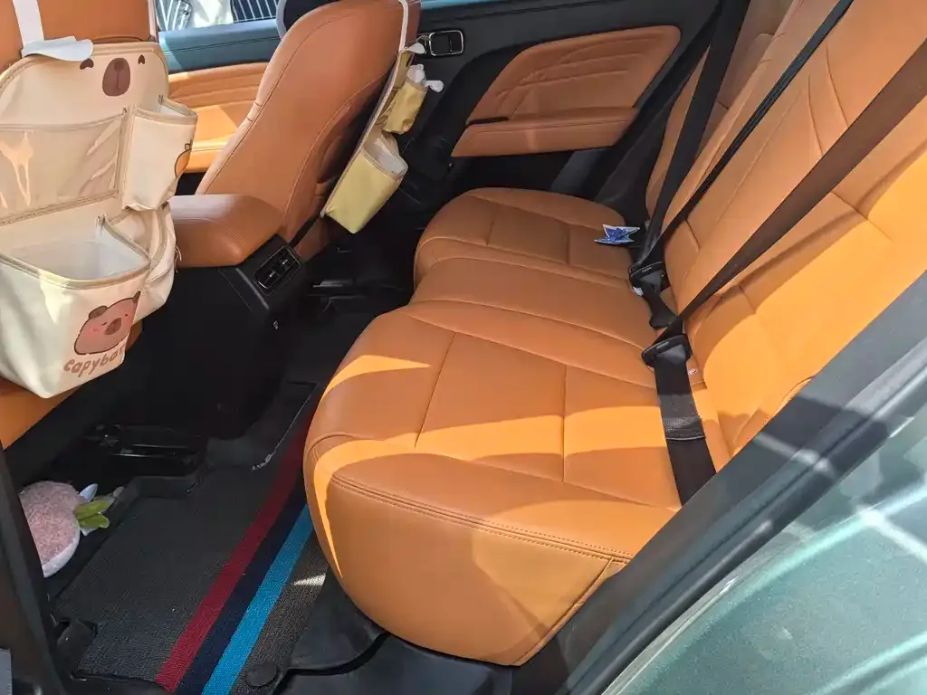 Haval Menglong New Energy 2024 из CN, фото 5