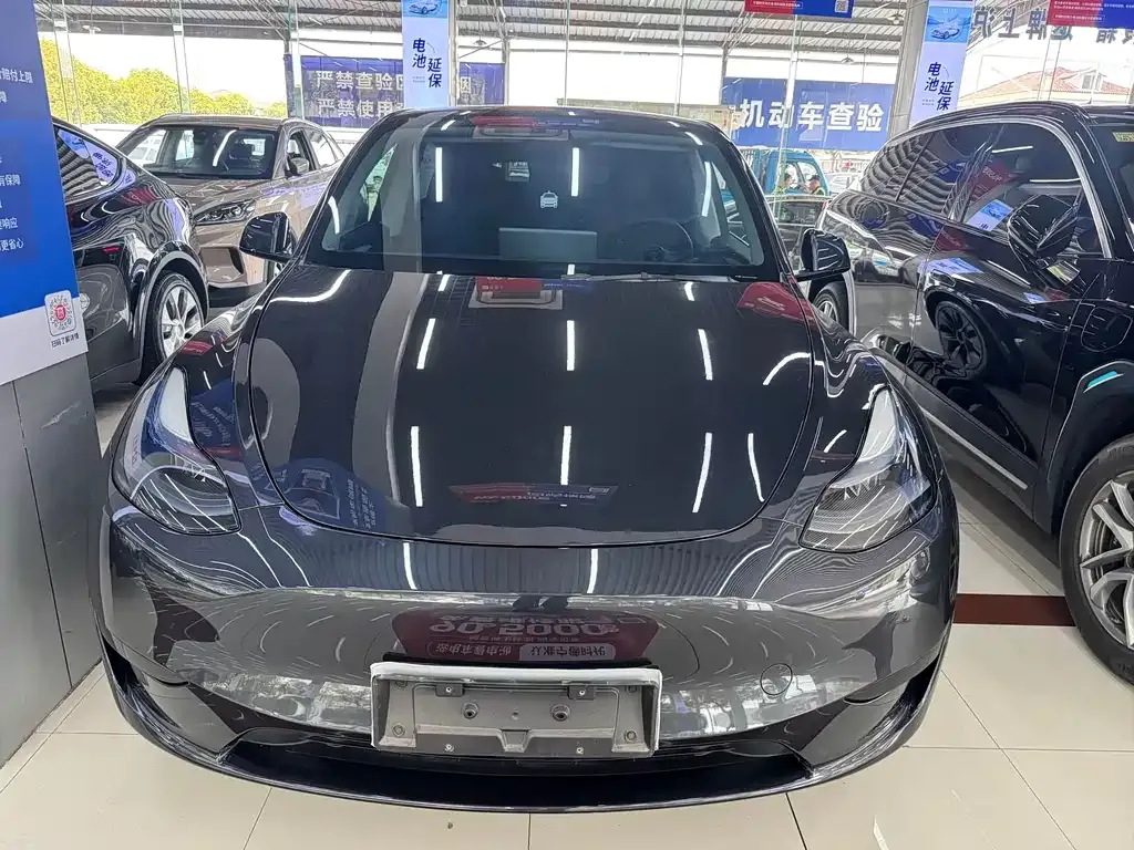 Tesla Model Y — фото 3