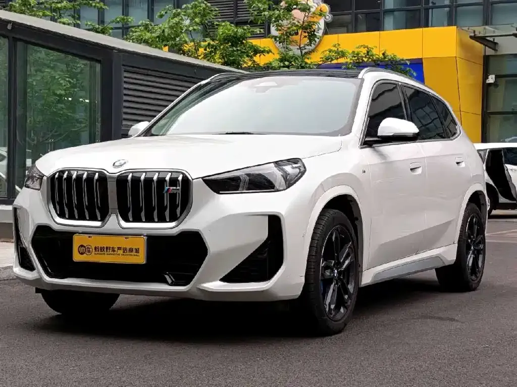 BMW X1 — фото 1