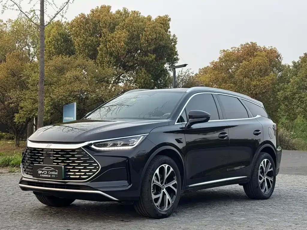 BYD Tang New Energy 2025 из CN, фото 1