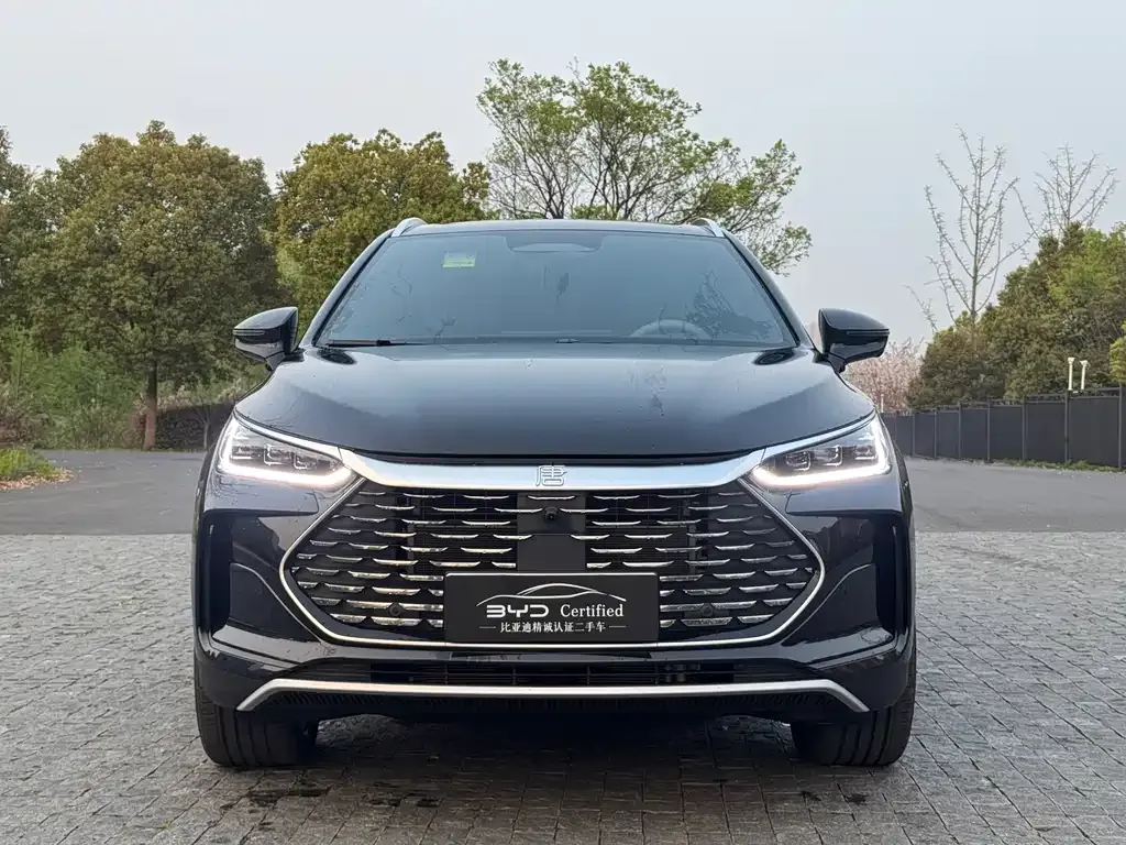 BYD Tang New Energy 2025 из CN, фото 6