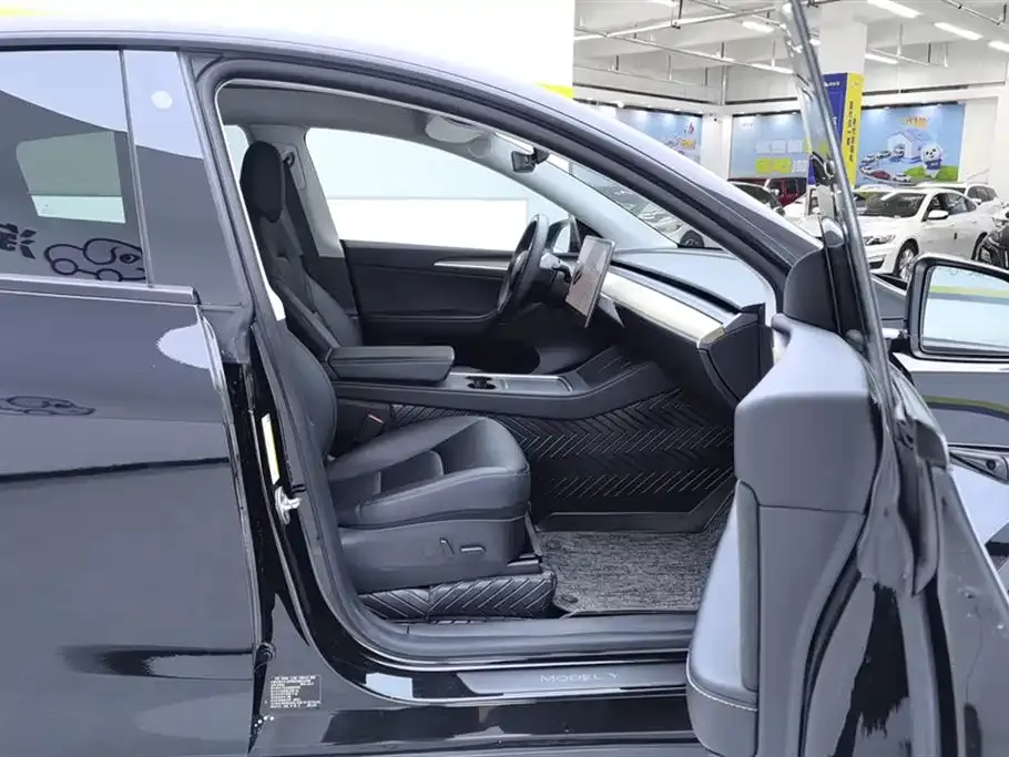 Tesla Model Y — фото 10