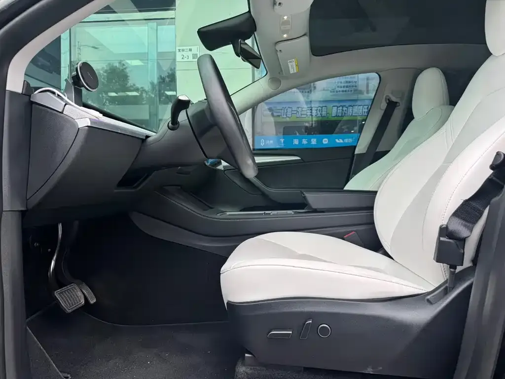Tesla Model Y 2024 из CN, фото 4
