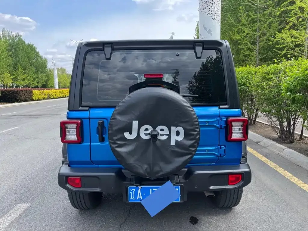 Jeep Wrangler 2021 из CN, фото 9