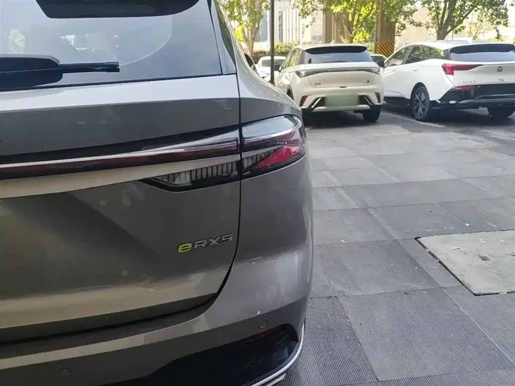 Roewe RX5 New Energy 2024 из CN, фото 9