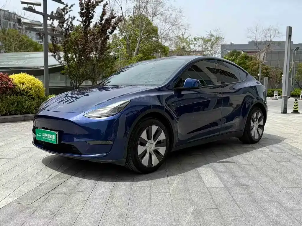 Tesla Model Y — фото 4