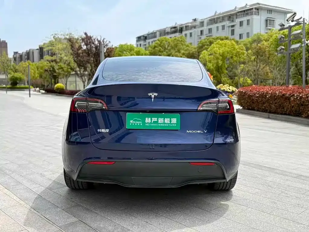 Tesla Model Y — фото 8