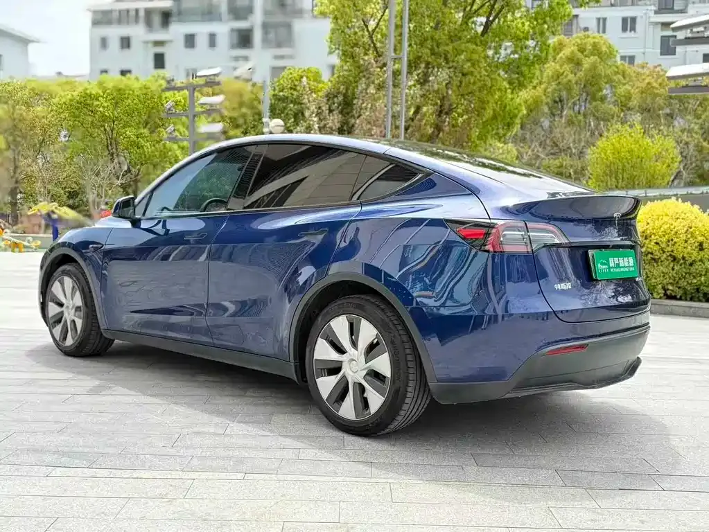 Tesla Model Y — фото 9