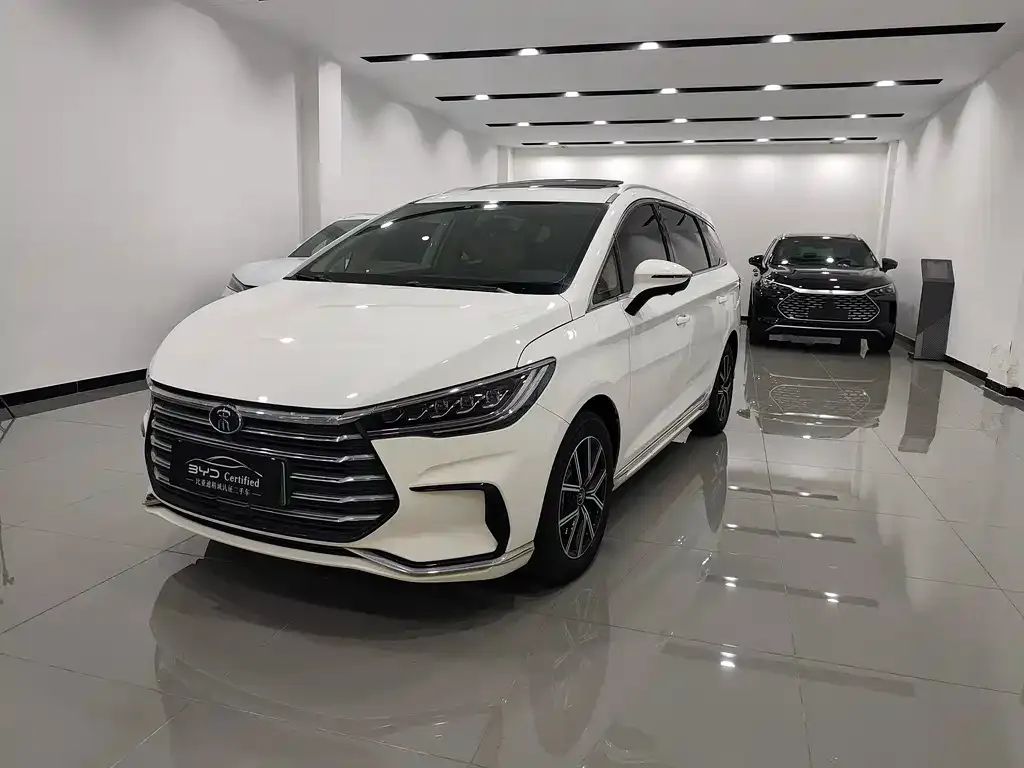 BYD MAX New Energy