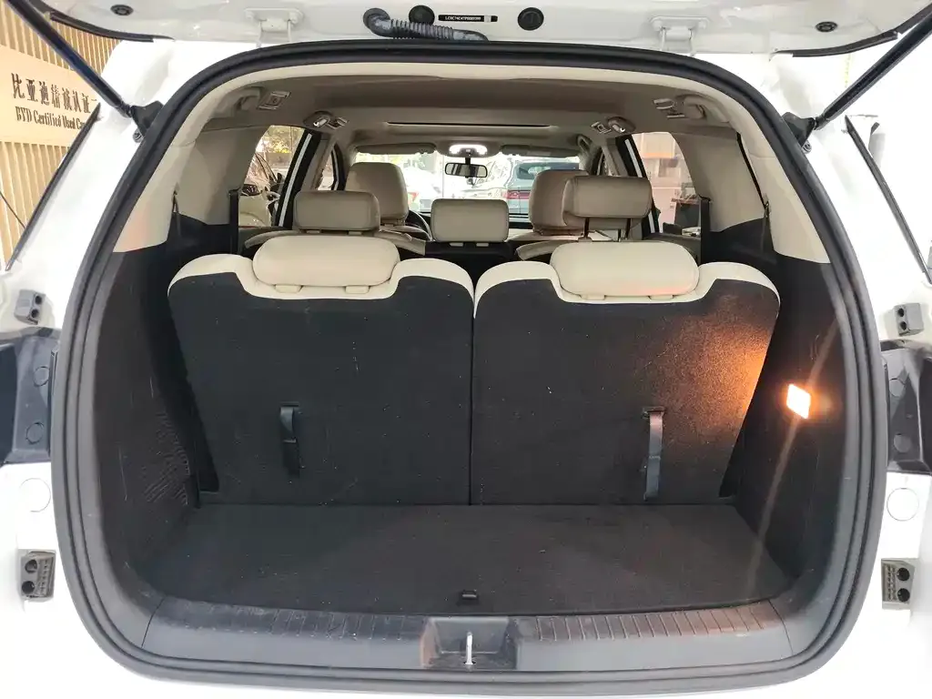 BYD MAX New Energy 2023 из CN, фото 4