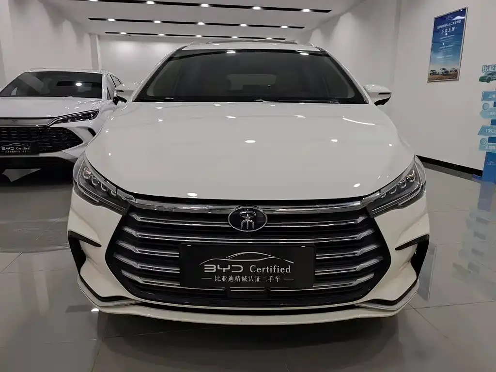 BYD MAX New Energy 2023 из CN, фото 5