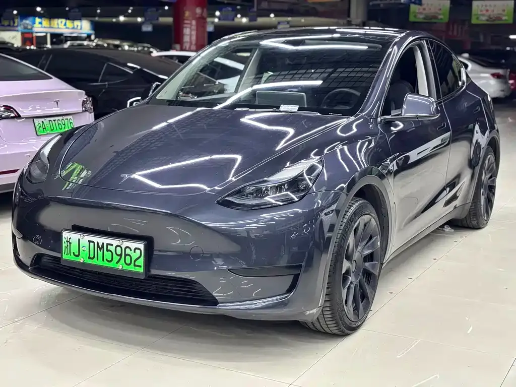 Tesla Model Y — фото 1
