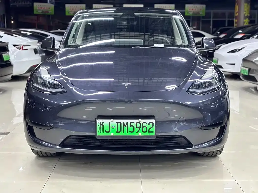 Tesla Model Y — фото 9