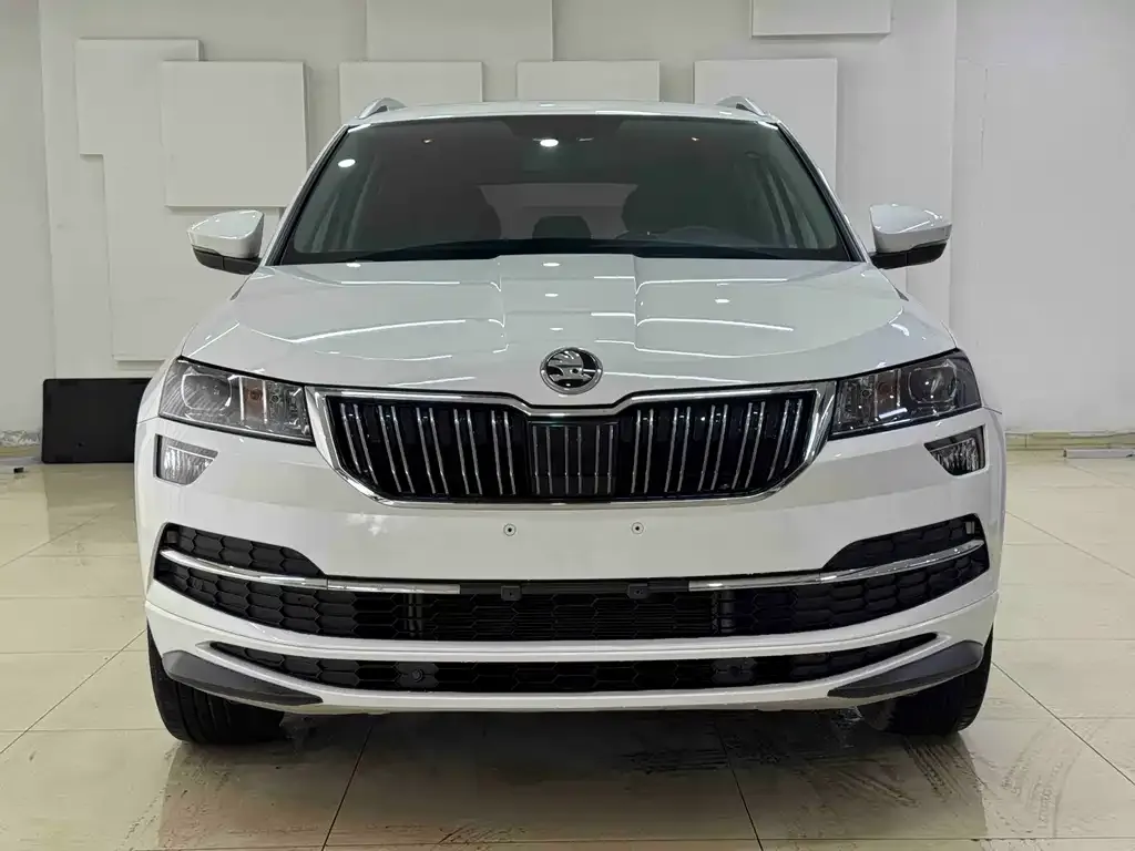 Skoda Karoq — фото 4