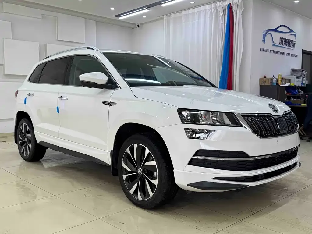Skoda Karoq — фото 3