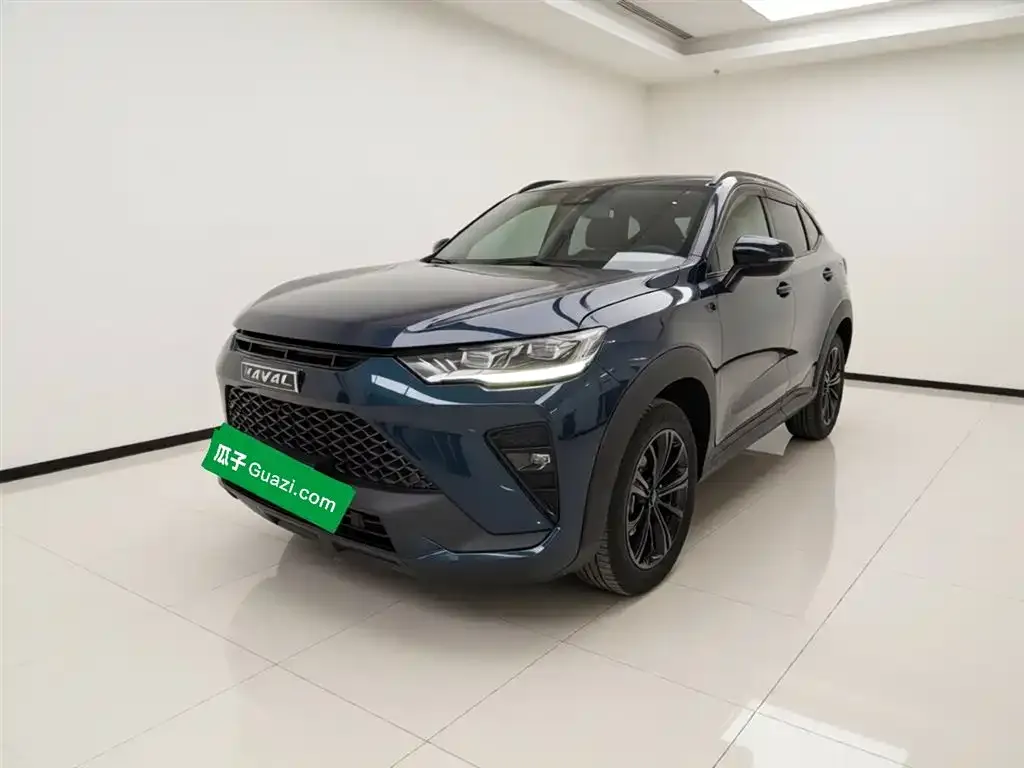 Haval H6S 2022 из CN, фото 3