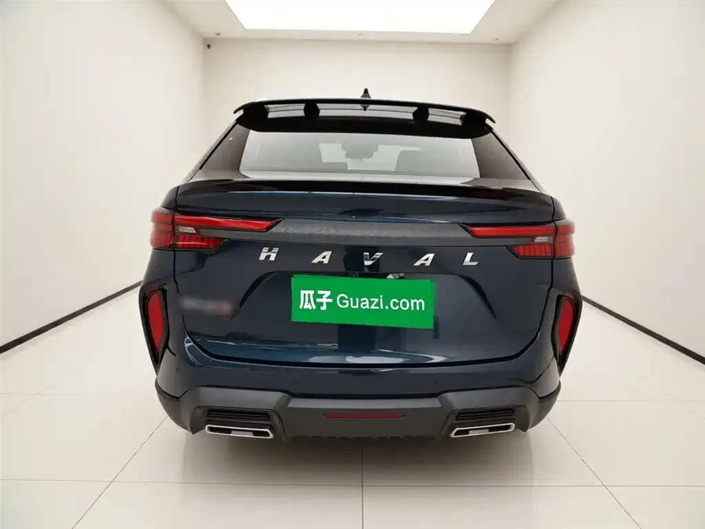 Haval H6S 2022 из CN, фото 6
