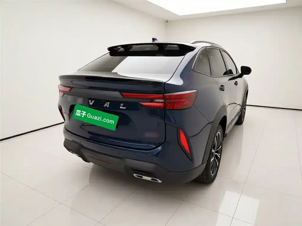 Haval H6S 2022 из CN, фото 4