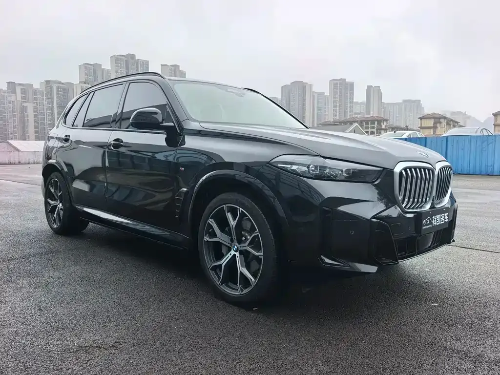 BMW X5 — фото 3
