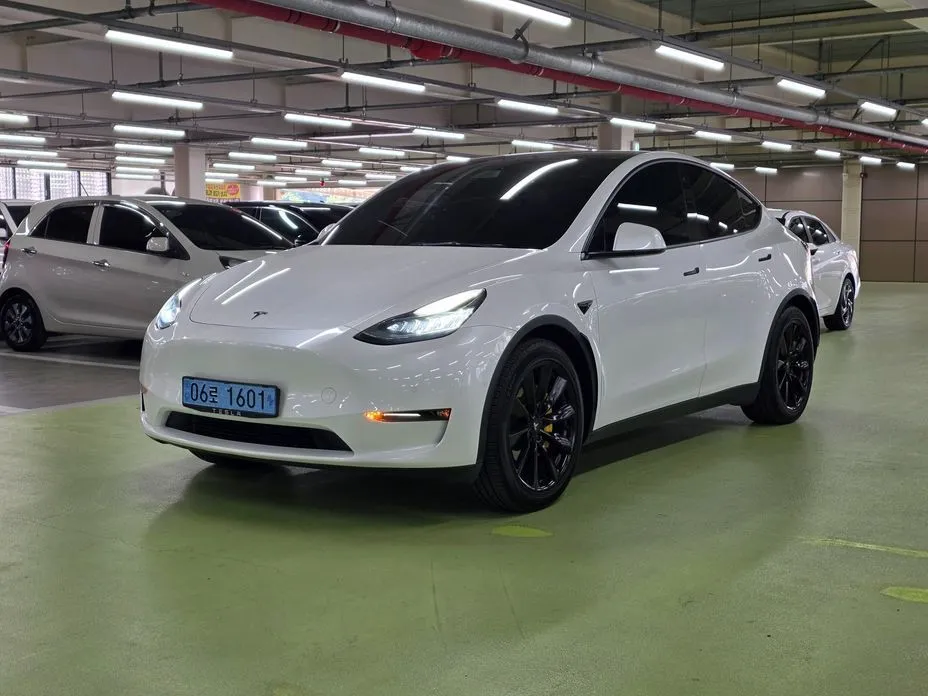 Tesla Model Y — фото 6