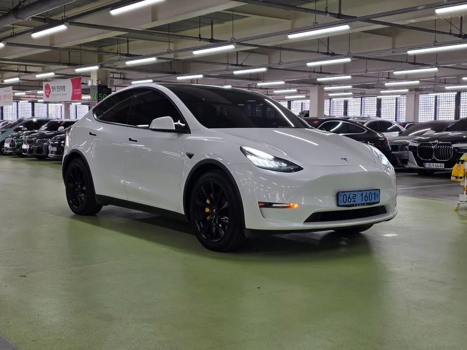 Tesla Model Y — фото 4