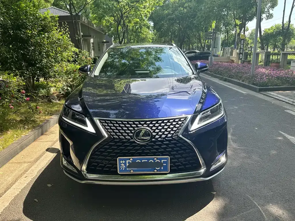 Lexus RX 2021 из CN, фото 6