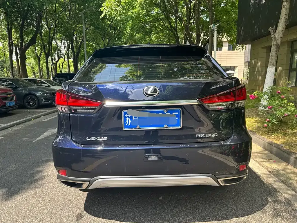 Lexus RX 2021 из CN, фото 3