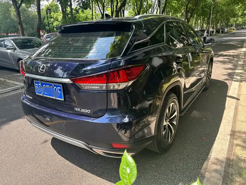 Lexus RX 2021 из CN, фото 8