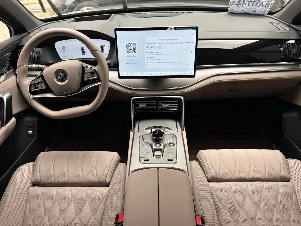 BYD Tang New Energy 2025 из CN, фото 6