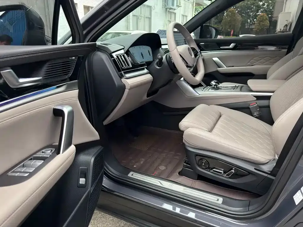 BYD Tang New Energy 2025 из CN, фото 10