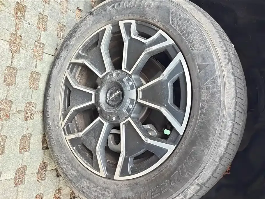 Haval H7 (Big Dog Plus) New Energy 2023 из CN, фото 8