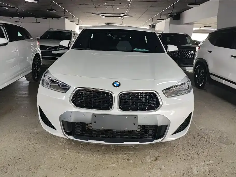 BMW X2 2022 из CN, фото 10