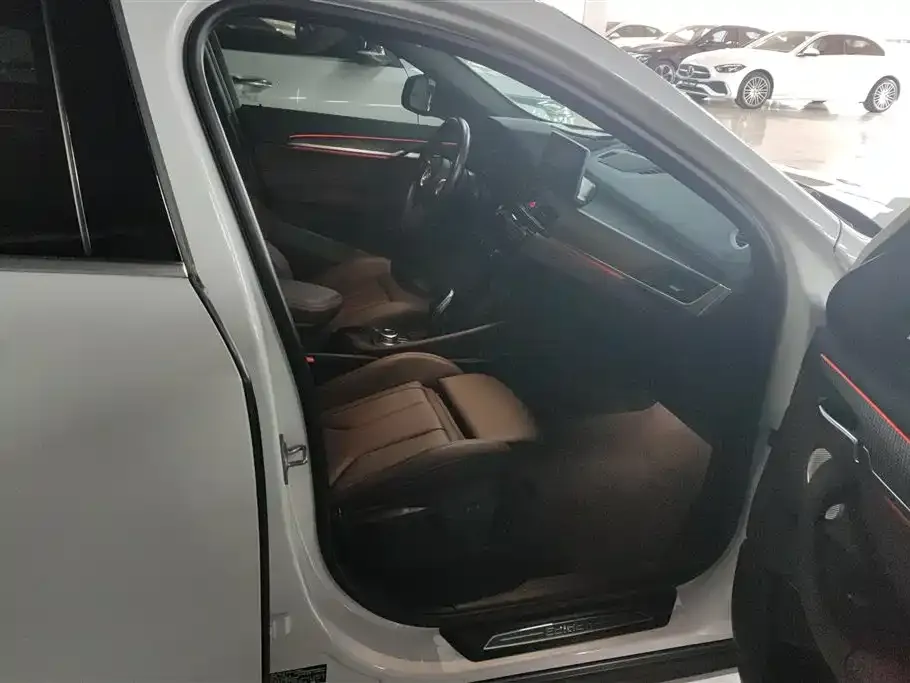 BMW X2 2022 из CN, фото 4