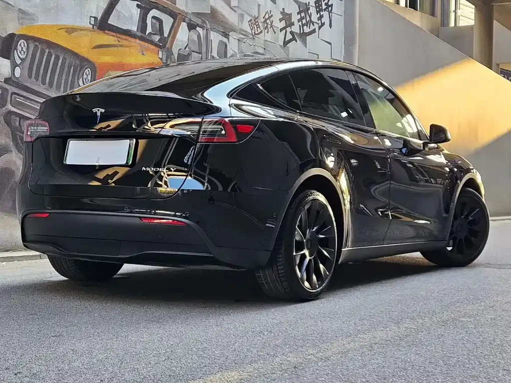 Tesla Model Y — фото 6