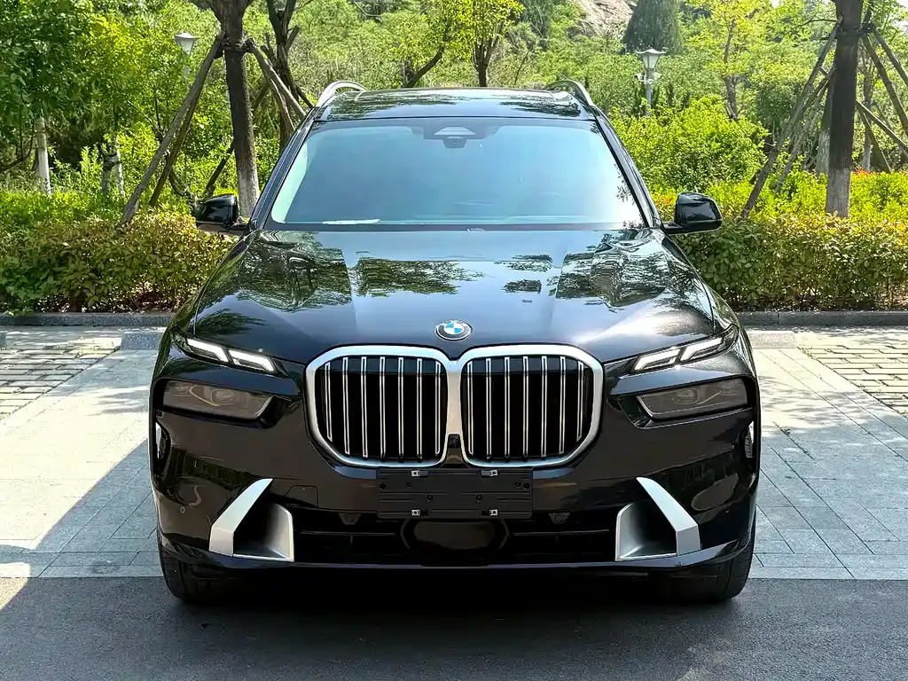 BMW X7 2023 из CN, фото 4
