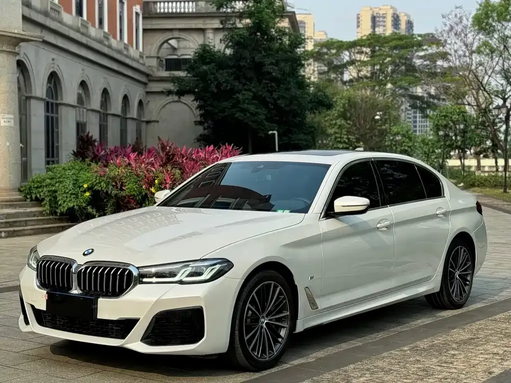 BMW 5 Series 2021 из CN, фото 1