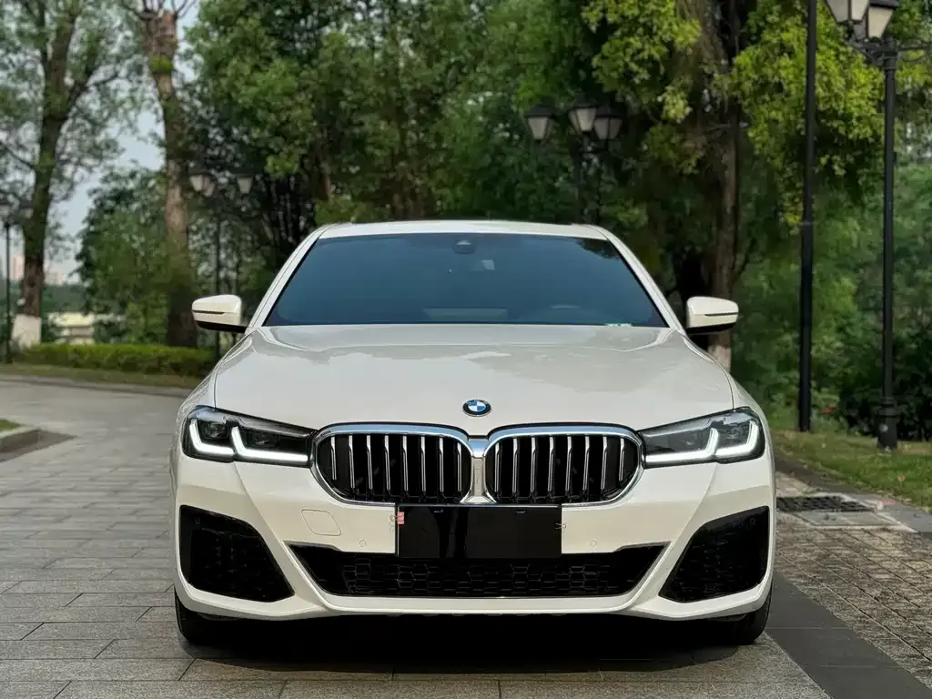 BMW 5 Series 2021 из CN, фото 2